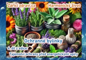 Zdravi a ochrana pred energetickymi upiry 4 ochranne bylinky